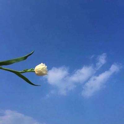 暗黑屠龙传奇手游下载